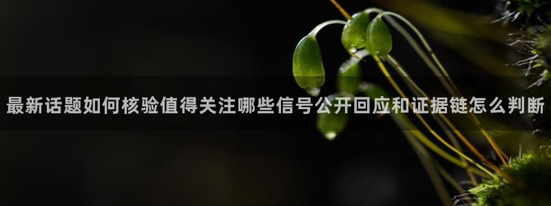 黑料吃瓜网站