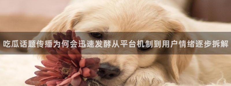 51吃瓜今日黑料：吃瓜话题传播为何会迅速发酵从平台机制到用户情绪逐步拆解
