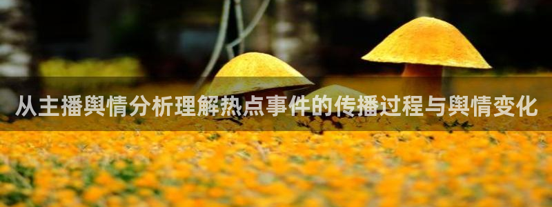 吃瓜911:从主播舆情分析理解热点事件的传播过程与舆情变化